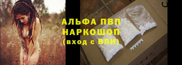 молекула духа Волоколамск