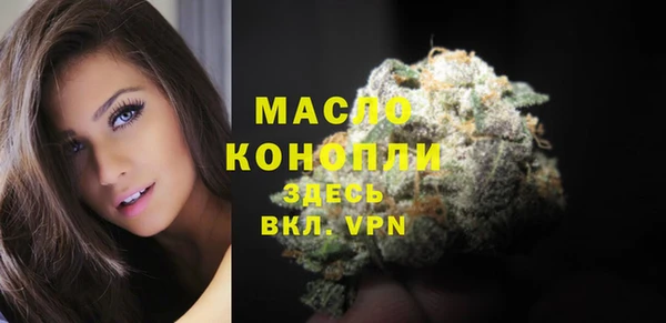 молекула духа Волоколамск