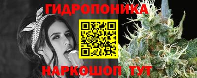 крисы Ливны