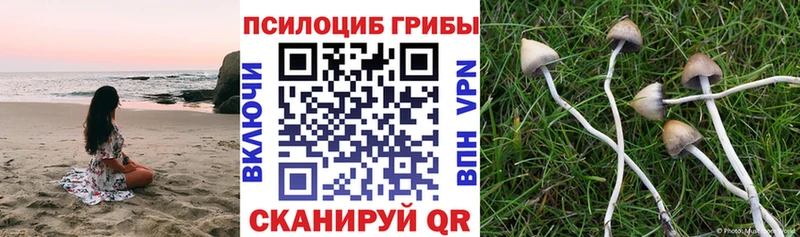 OMG онион  нарко площадка клад  Галлюциногенные грибы ЛСД  Канаш 
