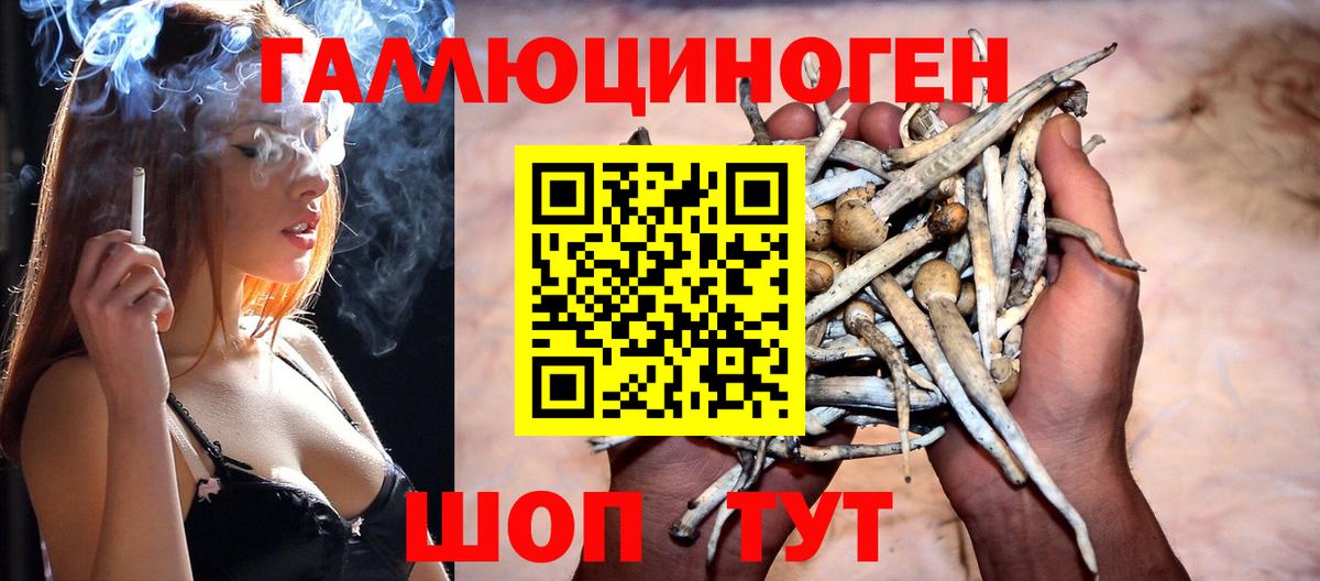 Галлюциногенные грибы MAGIC MUSHROOMS  Галлюциногенные грибы Cubensis  Канаш  Вход с VPN 