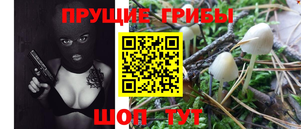 Псилоцибиновые грибы прущие грибы Канаш